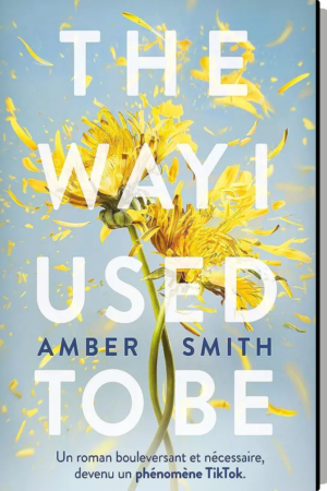 The Way I Used to Be, Tome 1